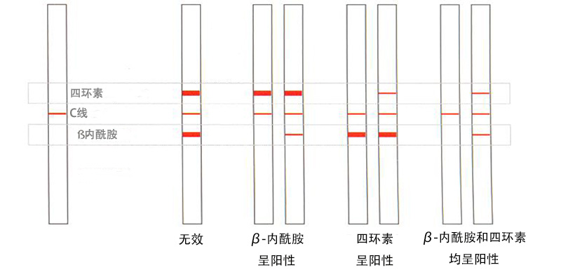 Twinsensor test kit-中文細節(jié).jpg