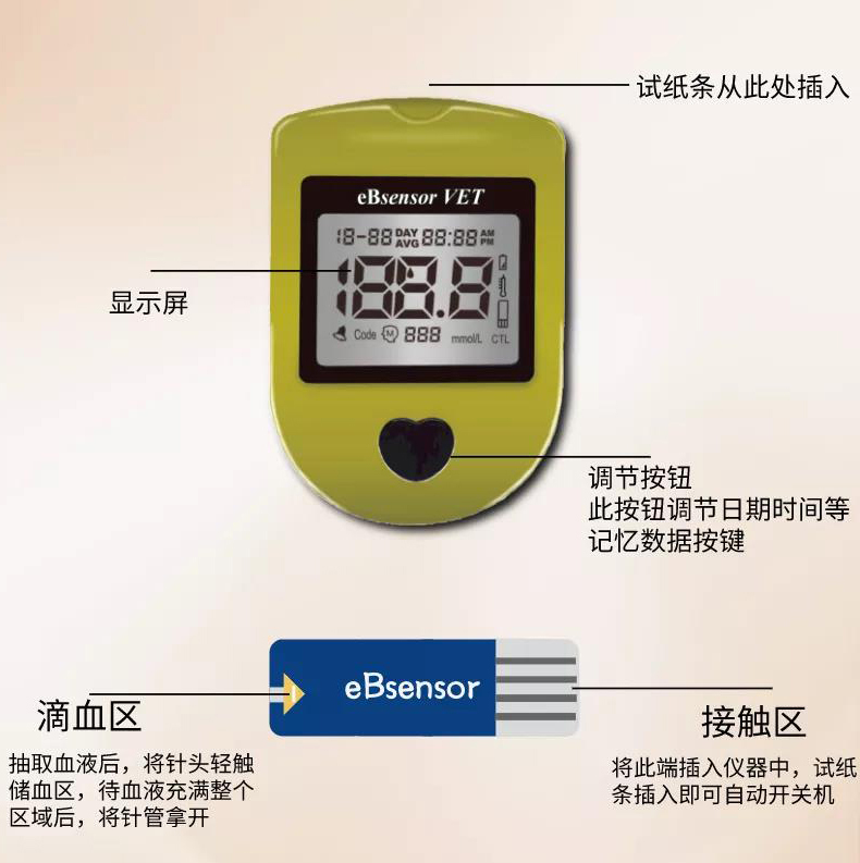 eBsensor-內容3.jpg